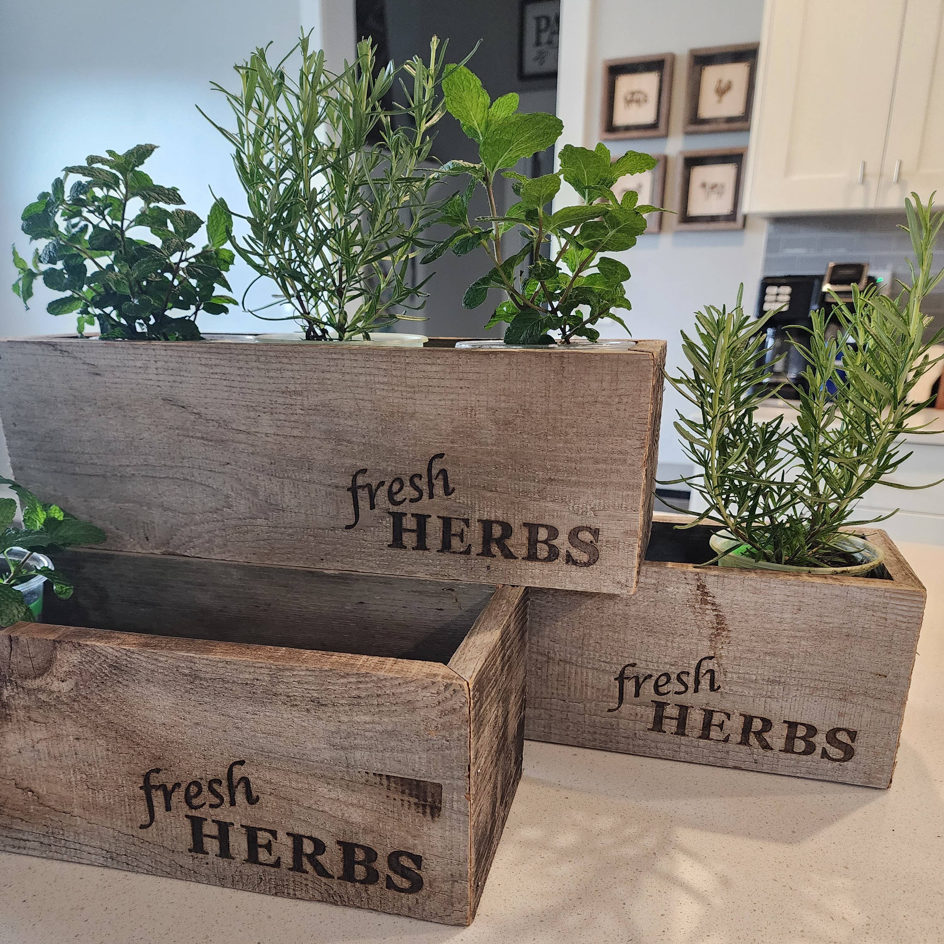 Reclaimed Wood Rustic Herb Planter - Trough