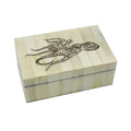 Octopus Engraved Vintage Scrimshaw Bone Box, 5-1/4”