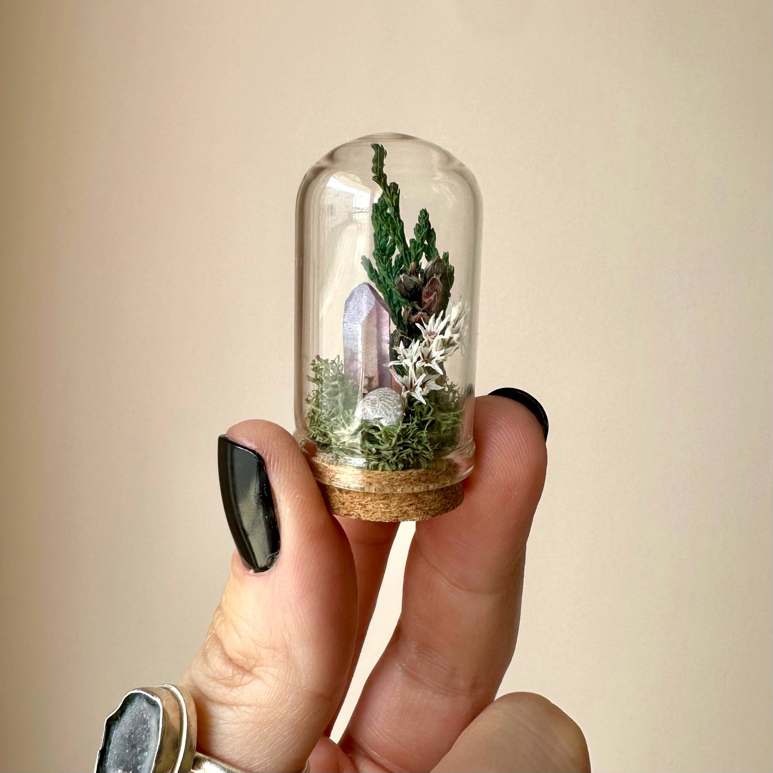 Starlight Crystal Fairy Garden Mini Floral Terrarium Cloche