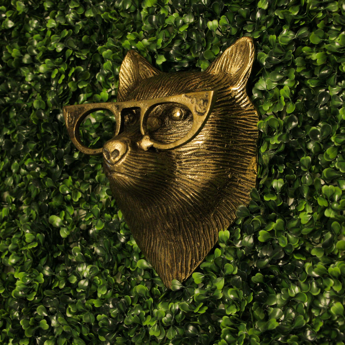 Cast Aluminum Gold Fox Head Wall Mount with Glasses 6" High