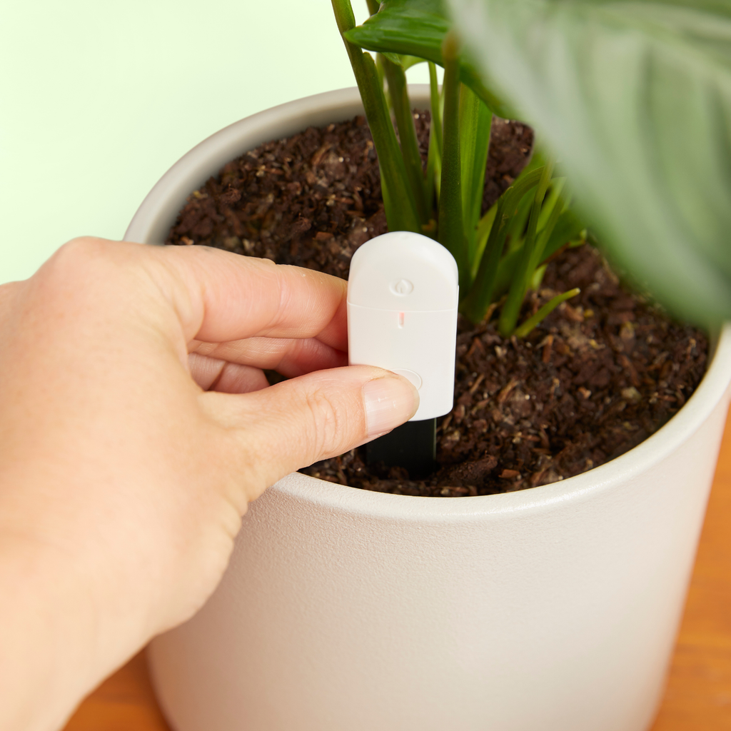 We the Wild Plant Water Moisture Meter