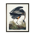 Blue Heron Bookplate