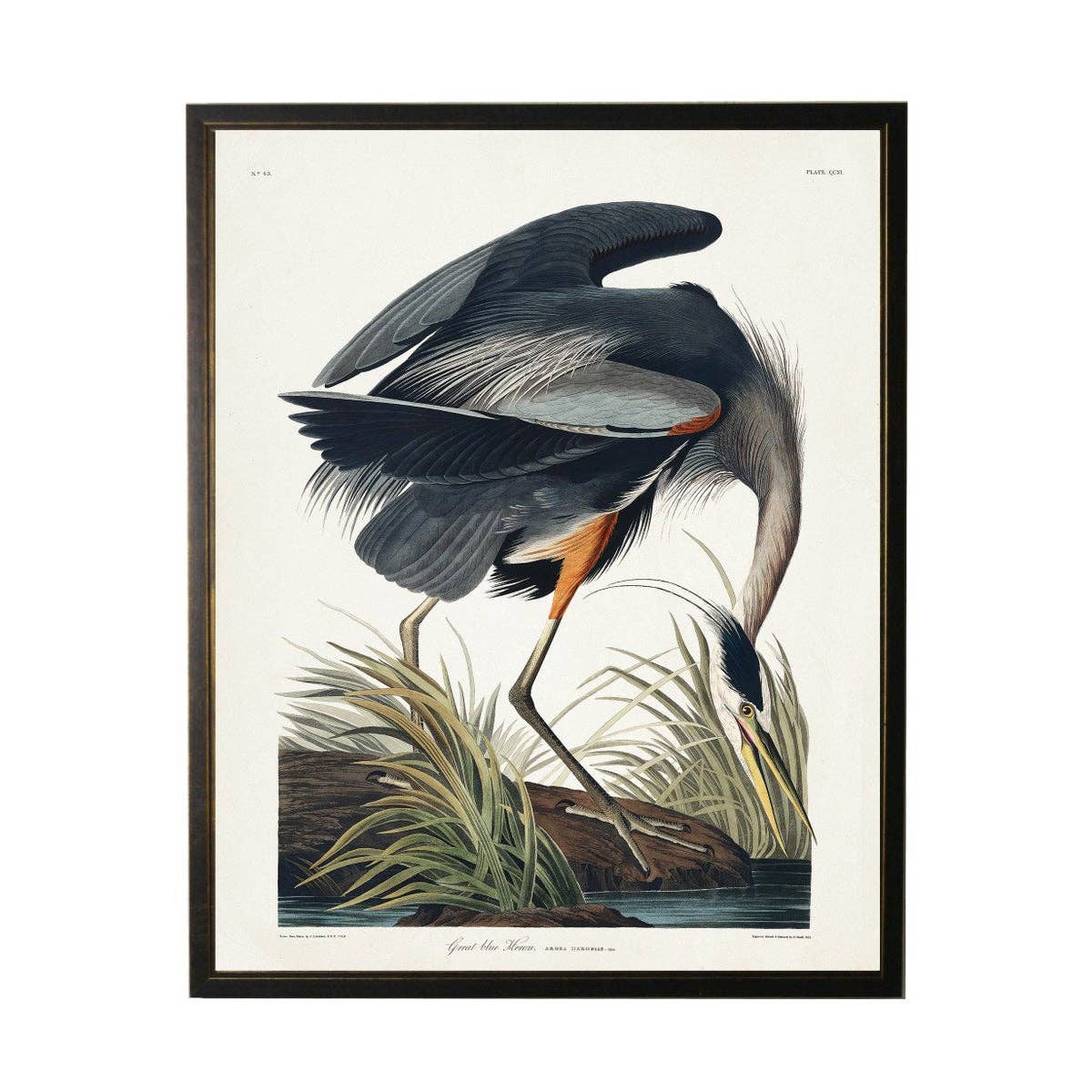 Blue Heron Bookplate