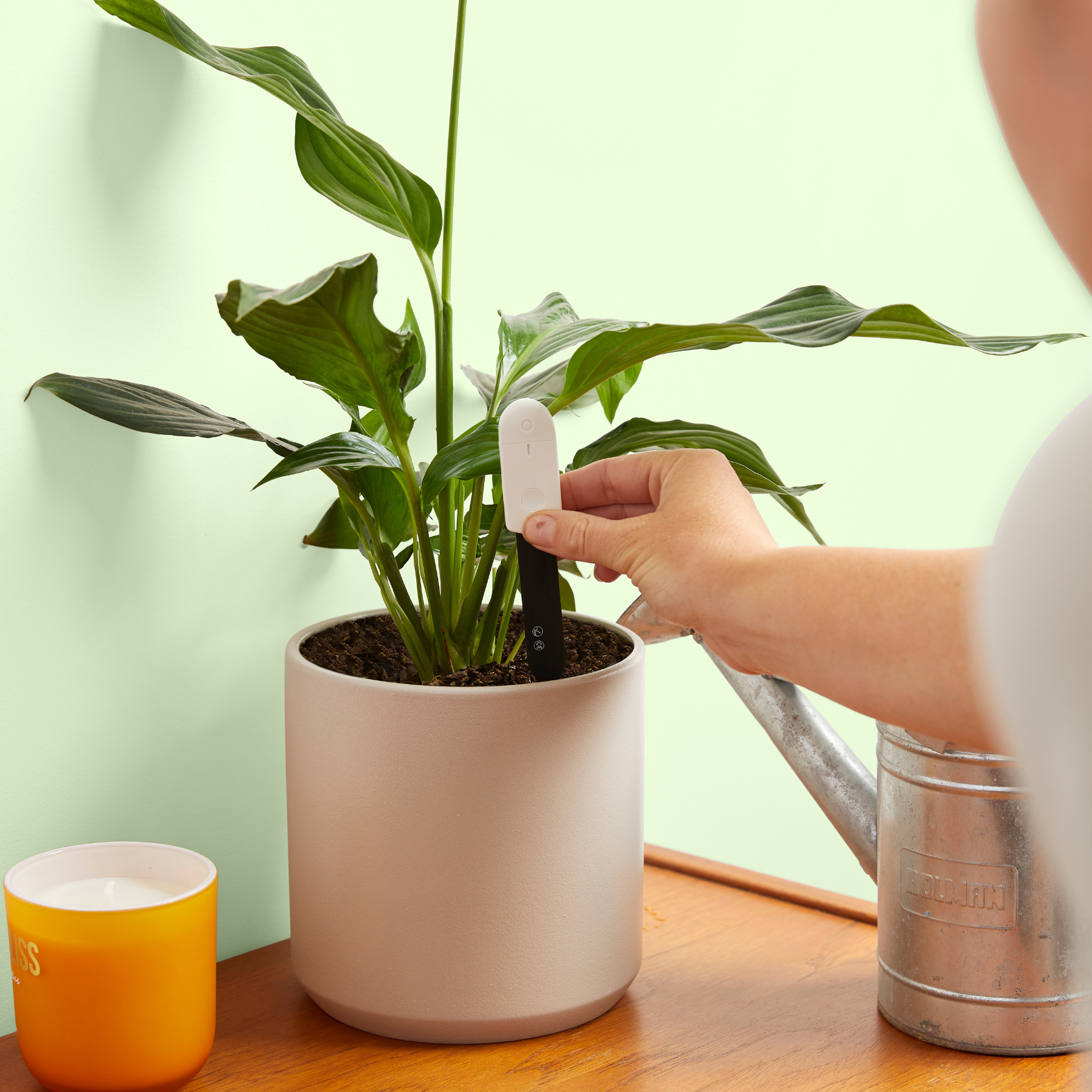 We the Wild Plant Water Moisture Meter