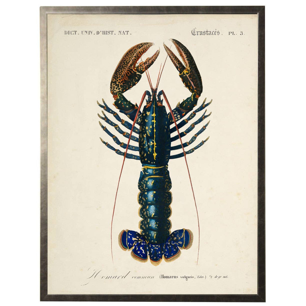 Framed vintage lobster bookplate on distressed background E