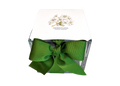 Paperwhites Winter Garden | Fall & Christmas | Best Seller
