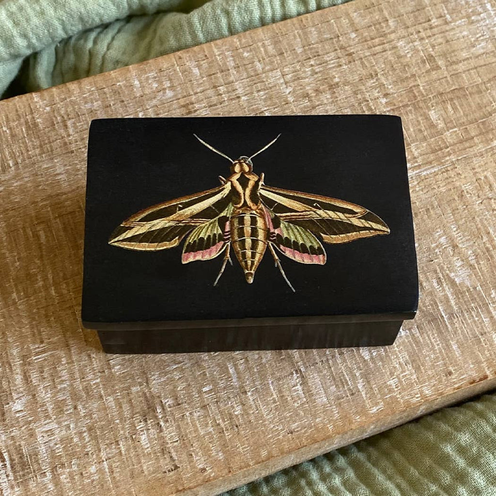 Sphinx Moth Black Soapstone Trinket Jewelry | Storage Box
