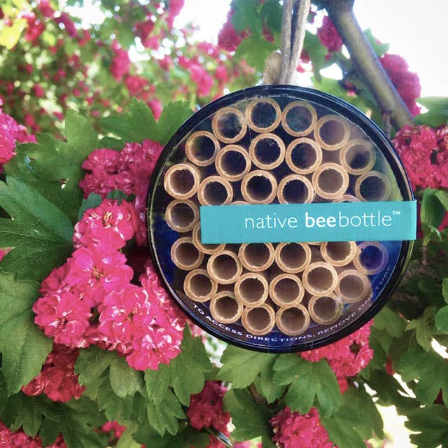 Native Bee House | Habitat Builder to attract pollinators
