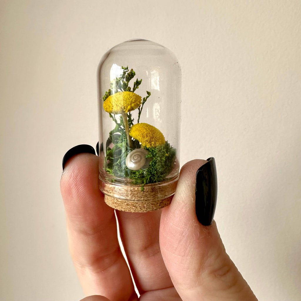 Meadow Mix Mini Glass Cloche Terrarium w. Dried Florals