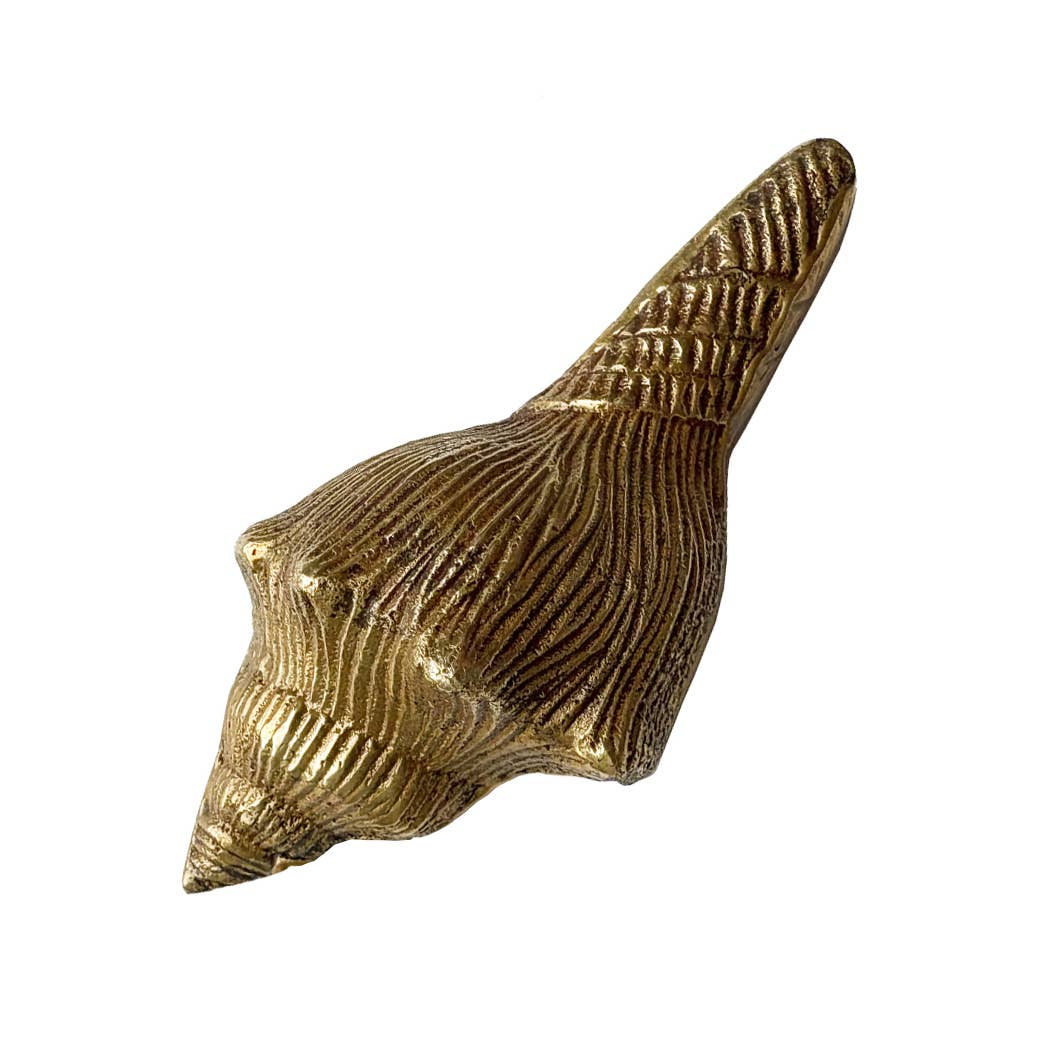 Antiqued Brass Conch Shell Paper Weight, 4"